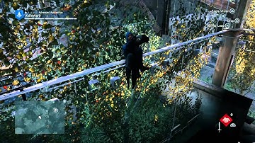 AC Unity Glitch