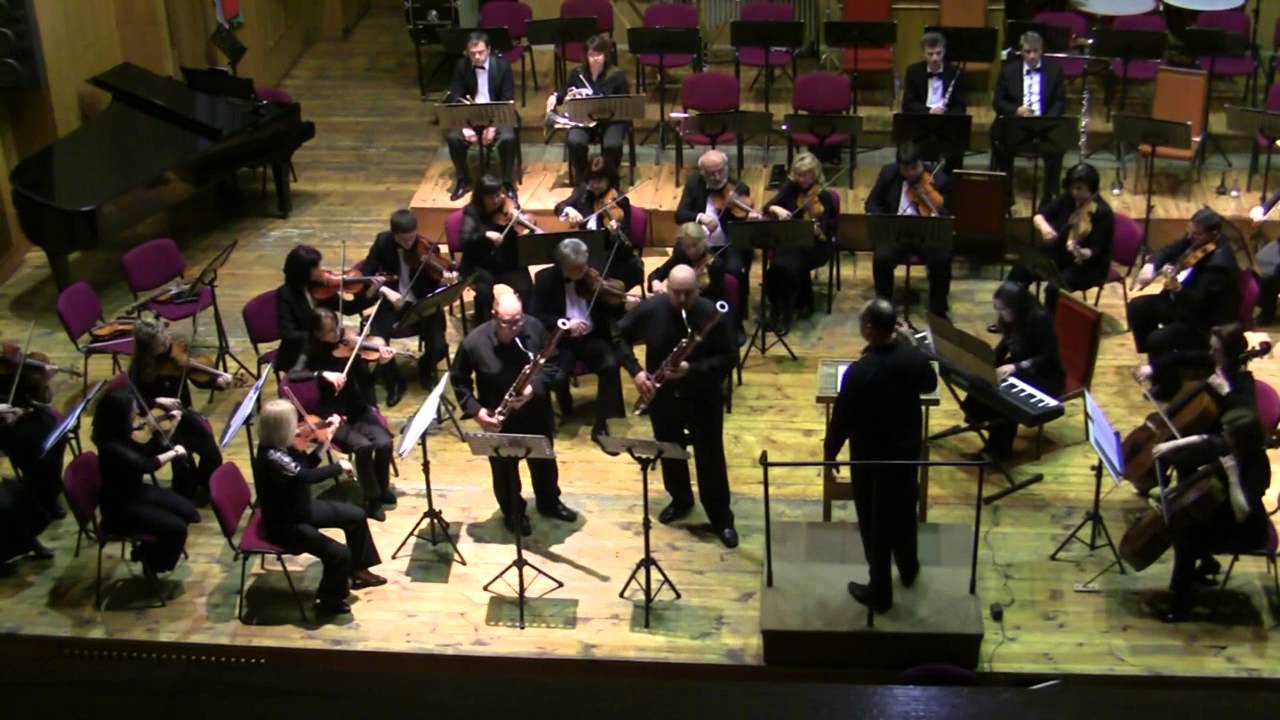 J.B.Vanhal Concerto for 2 Bassoons 1st mov YouTube