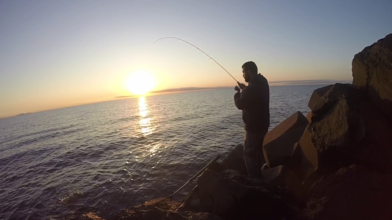 Pêche au calamar du bord YouTube