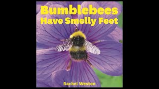 Bumblebees Have Smelly Feet - Kids Talk About Books