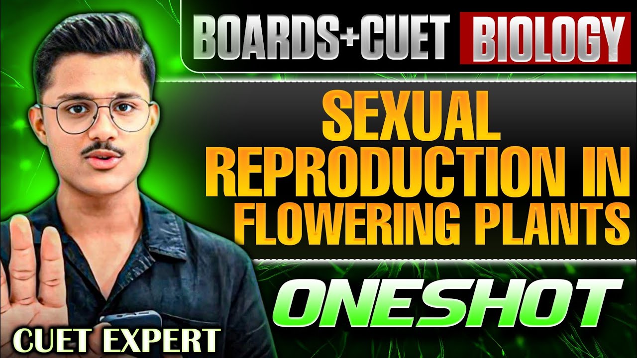 Boards + Cuet 2026 Biology | Sexual Reproduction In Flowering Plants ...