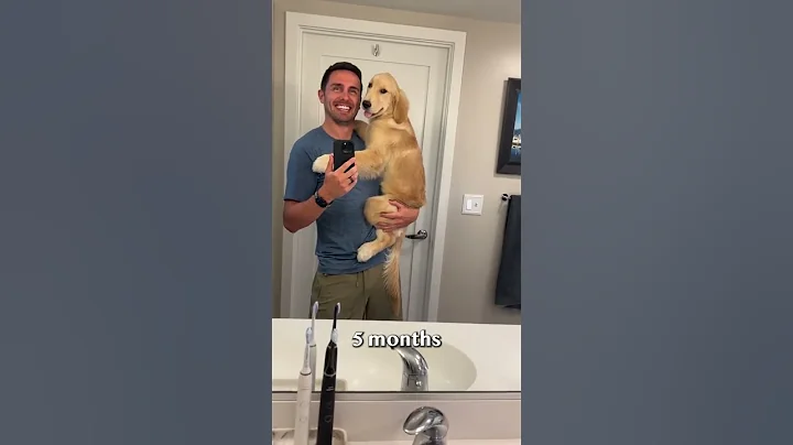 They Grow Up So Fast 🥹 #shorts #doglover #puppy