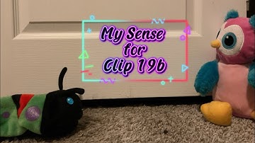 My Sense for Clip 19b