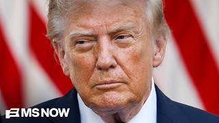 JUST STOP ALREADY Trump s dumbest trade war with Canada is ruining tourism in Sin City