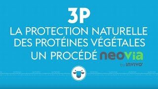 3P : La protection naturelle des protéines végétales