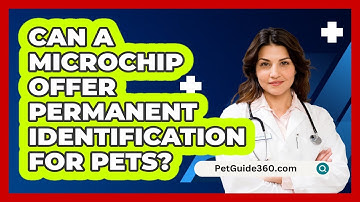 Can A Microchip Offer Permanent Identification For Pets?