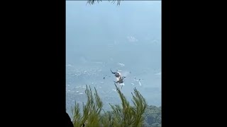 2026 Athens Bell 214ST Mid-Air Collision - Footage