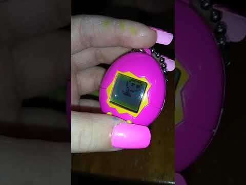 How to take care of a tamagotchi - YouTube