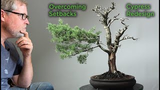 Bonsaify | Bonsai Development in REVERSE? From Refined to Redesigned