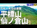 【徹底解説】平標山・仙ノ倉山 ～花咲く天空の楽園を歩く～【松手山コース・平元新道コース周回】Course Guide of Mt.Tairappyo & Sennokura.