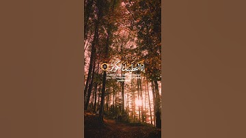 🌿قارئ الشيخ عبد الرحمن مسعد سوره🌿 الكوثر 🌿