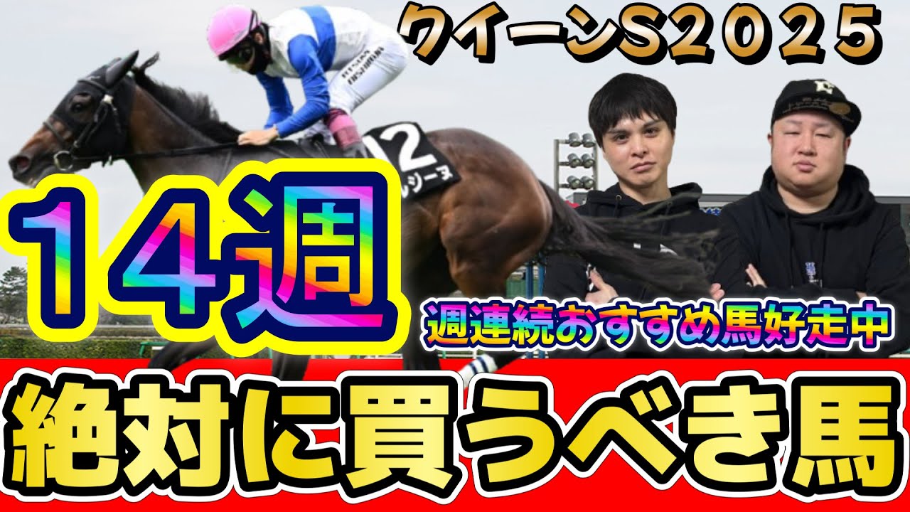 Queen徹底活用マニュアル 万馬券製造機Queen Special 〈競馬予… 楽天ブックス: Queen徹底活用マニュアル - 万馬券製造機