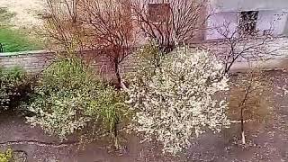 Yayla, Köy, Ilkbahar, Sonbahar, Ve Kış.