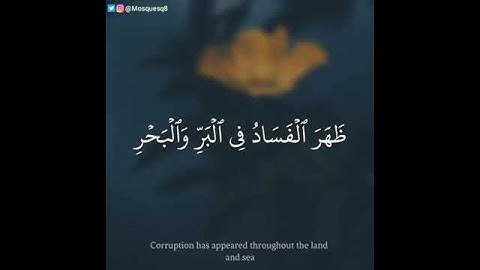 (ظهر الفساد في البر والبحر) تلاوة مميزة للشيخ ياسر الدوسري من سورة .الروم