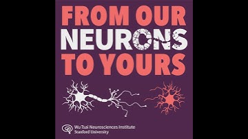 Memory Palaces: the science of mental time travel and the brain