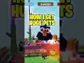 How I Get BIG PETS in Grow a Garden #roblox #growagarden
