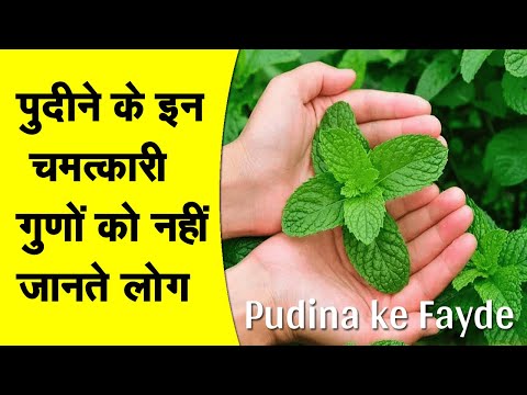 पुदीना के फायदे और इसके औषधीय गुण, उपयोग | Pudina ke Fayde | Mint Health Benefits in Hindi