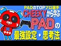 【PADの設定まとめ】PAD使いは一度CHEEKYから学んでみよう【チーキー切り抜き】