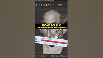 ZBrush Eating Up Your Disk Space? Here