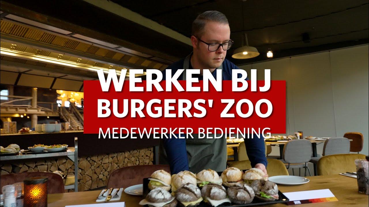 Werken bij Burgers' Zoo Horeca YouTube