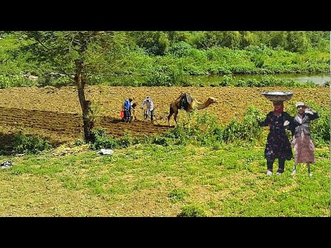 مشتي ذهب ولا دولار الفنانة صباح عطيبة اقوى مناظر الطبيعه