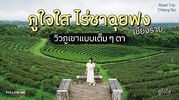 เที่ยวเชียงราย 3/4 | ไร่ชาฉุยฟง ภูใจใส ที่พักวิวภูเขาแบบพาโนราม่า | FOLLOW ME เที่ยวไทย