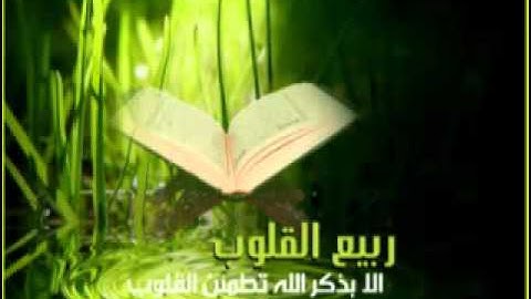 تلاوات خاشعه حمزة المجالي