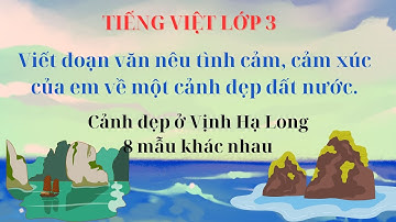 Viết đoạn văn nêu tình cảm, cảm xúc của em về một cảnh đẹp đất nước - Vịnh Hạ Long - Lớp 3