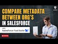 Comparing Metadata Between Orgs in Salesforce Using Salesforce Tool Suite