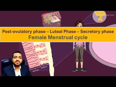 वीडियो: खुले मैदान में कद्दू की उचित खेती