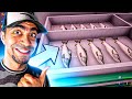 افضل سوبر ماركت في العالم يعود اشتريت سمك 22 Trader Life Simulator 