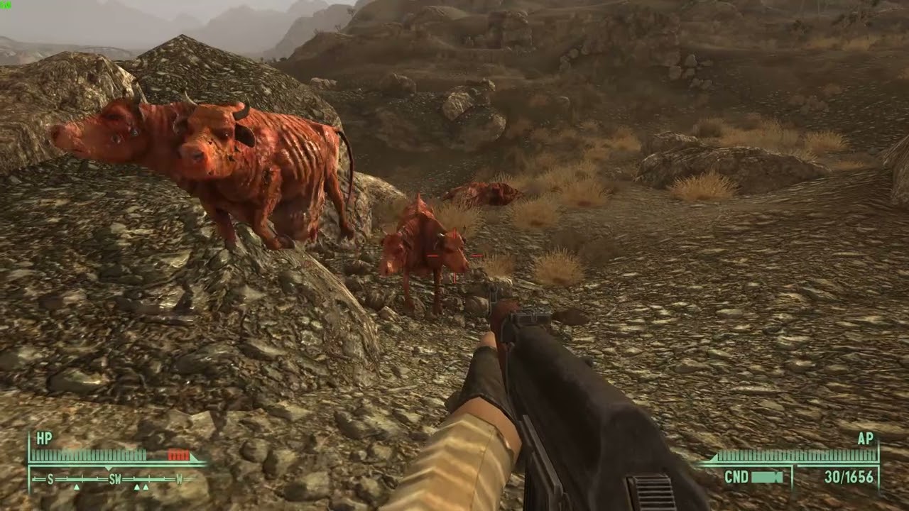 FNV: Encounters - Rigged Brahmin