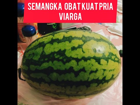  Manfaat Semangka: Obat Kuat Pria (VIARGA Alami)