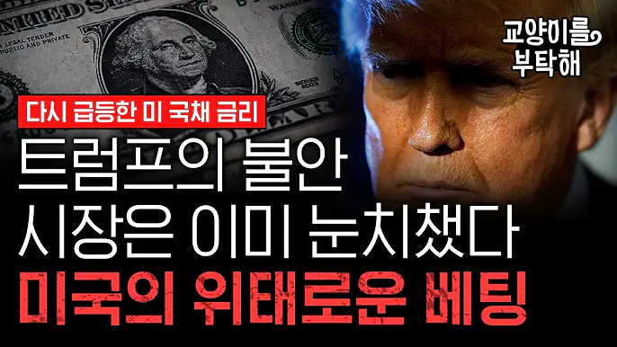 미국 이민 정책 관련 이미지