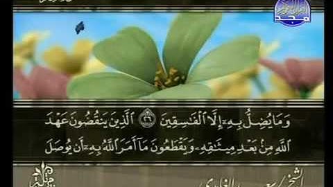 مقطع للحفظ من سورة البقرة الآيات 25-26-27-28-29.