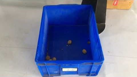 X RAY SORTING MACHINE  Walnuts  Sorting
