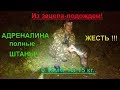 Ловля судака-классика ДЖИГА и СОМ!