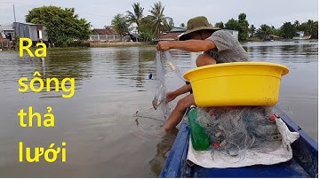 250 | Thả lưới cá mè vinh về chiên giòn | fishing