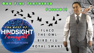 Hindsight For May 4, 2025