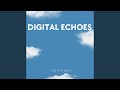Digital Echoes