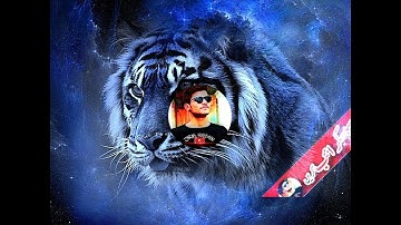 3D Intro Youtube Logo Trap Tiger (Logo animation)