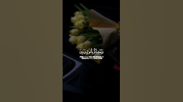 فقلت استغفروا ربكم إنه كان غفارا || سورة نوح || القارئ: فارس عباد