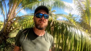 HIKING PARADISE, Maupiti Island, West Motu