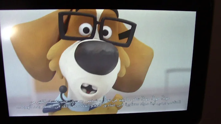 BORDER PATROL VIDEO PLAYED ONBOARD AIRCRAFT BEFORE LANDING AT NEW ZEALAND