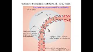 Parenteral Drug Targeting