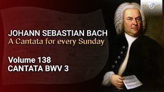 J.S. Bach: Ach Gott, wie manches Herzeleid, BWV 3 - The Church Cantatas, Vol. 138