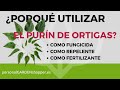 ¿PORQUÉ UTILIZAR EL PURÍN DE ORTIGAS COMO FUNGICIDA, REPELENTE Y FERTILIZANTE?