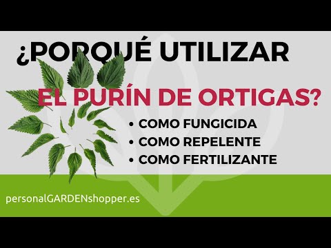 Video: Ortiga Como Fertilizante En El Sitio