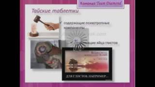 SkinnyBodyCare презентация по действию SkinnyFiber от 27 01 2013