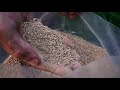 Prsentation fermenteur tco compost tea 1000l act bio system vie microbienne  terralba